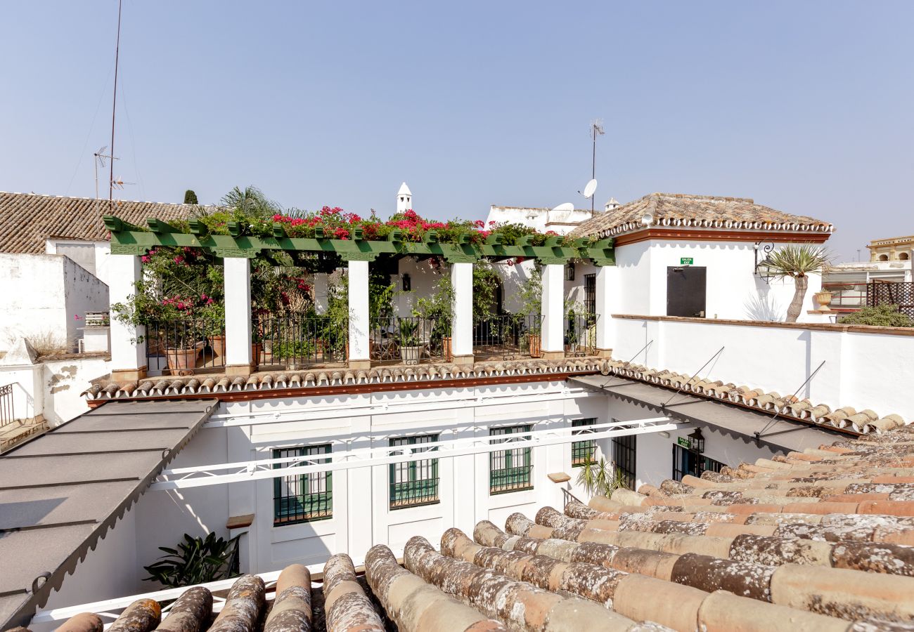 Apartamento en Sevilla - San José 2