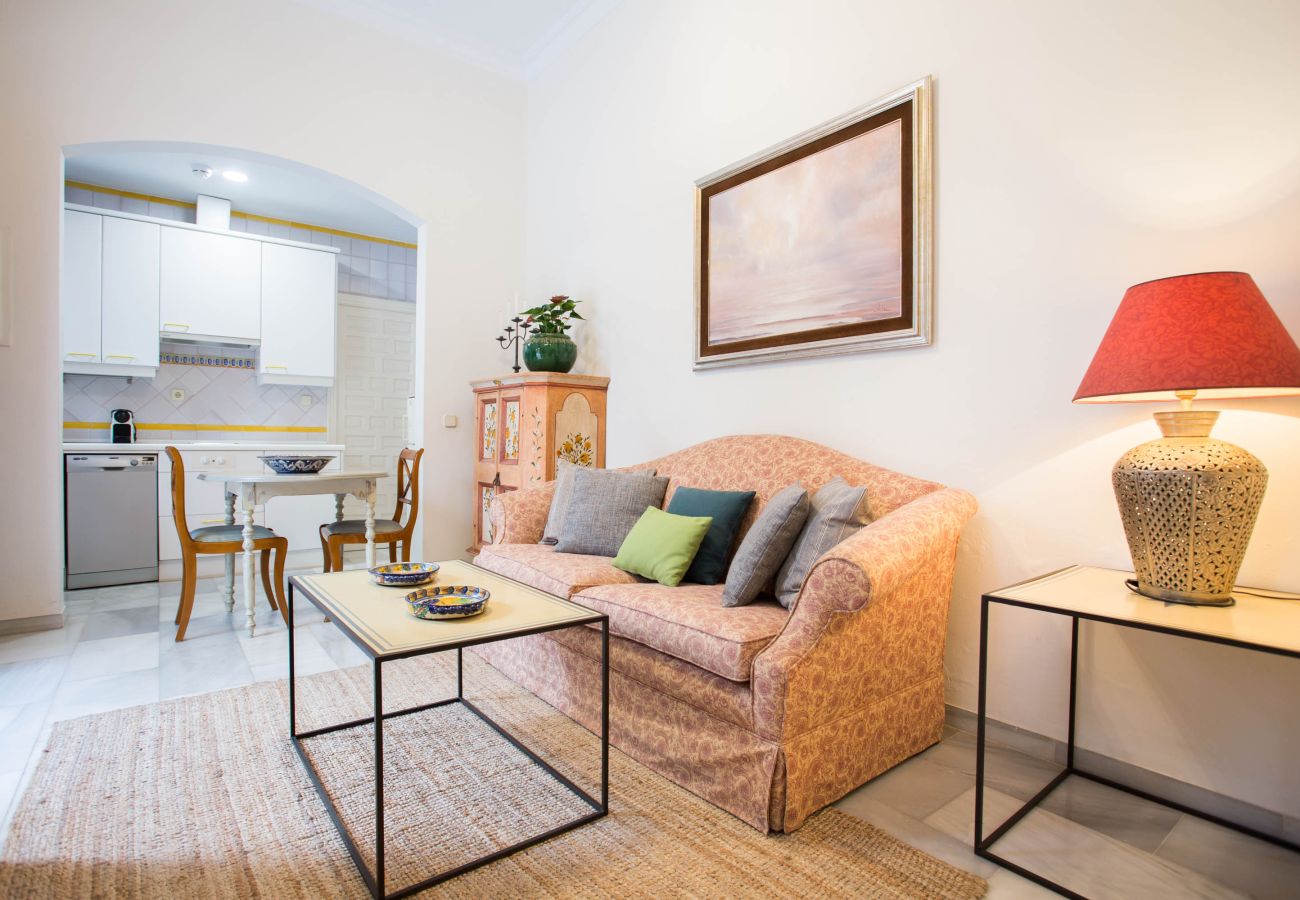 Apartamento en Sevilla - San Jose 4