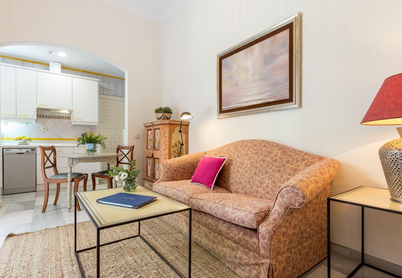 Apartamento en Sevilla - San Jose 4