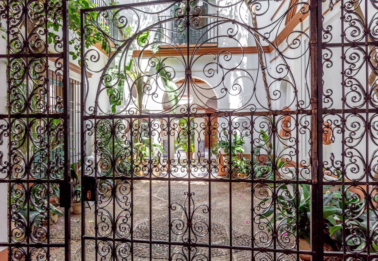 Apartamento en Sevilla - San José 3