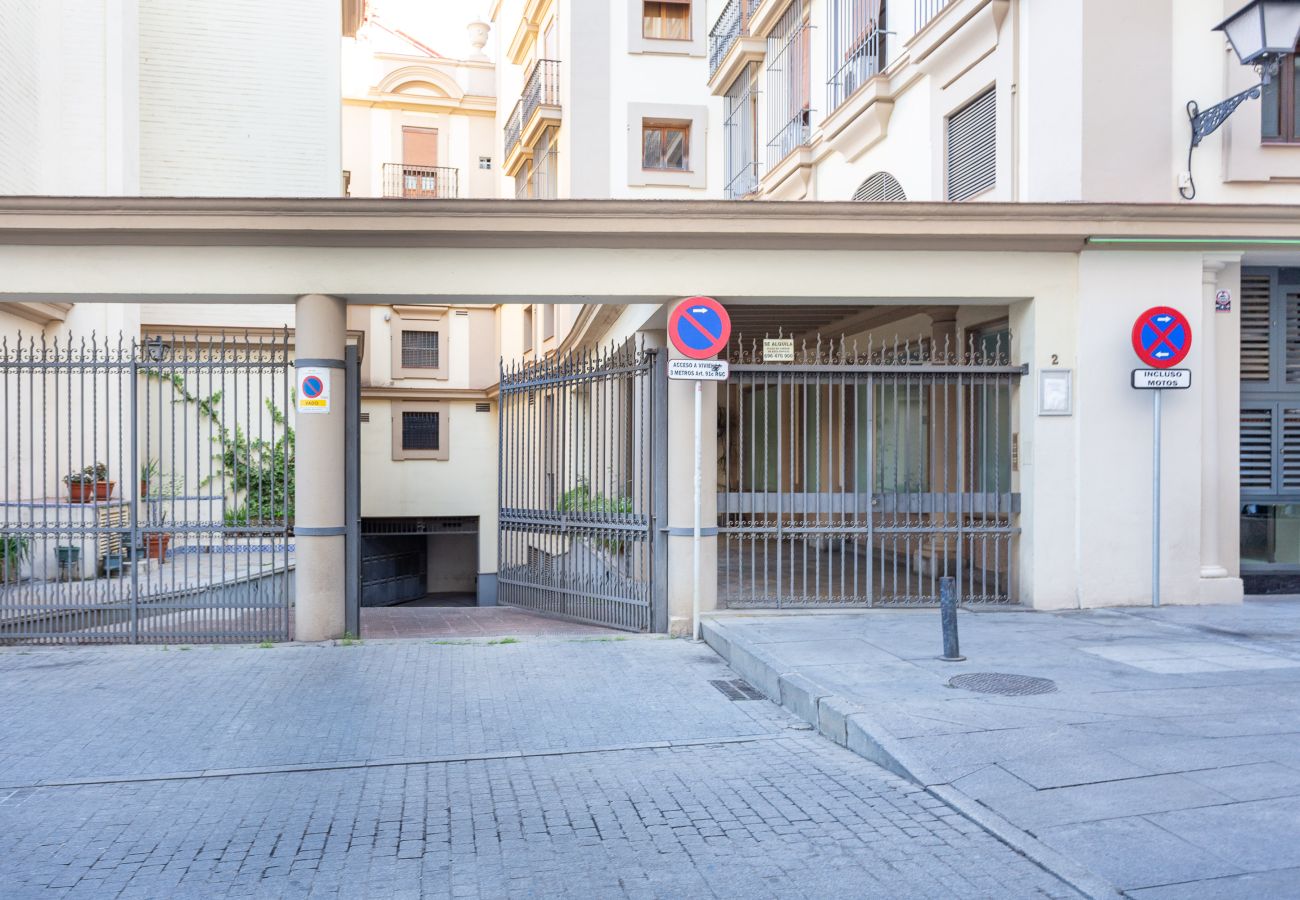 Apartamento en Sevilla - Avenida de la Constitución