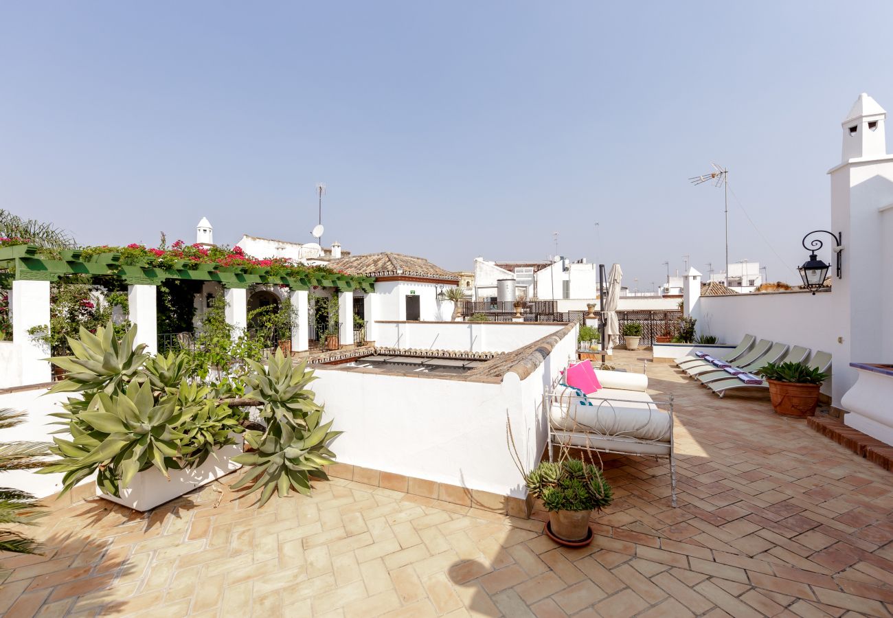 Apartamento en Sevilla - San Jose 5