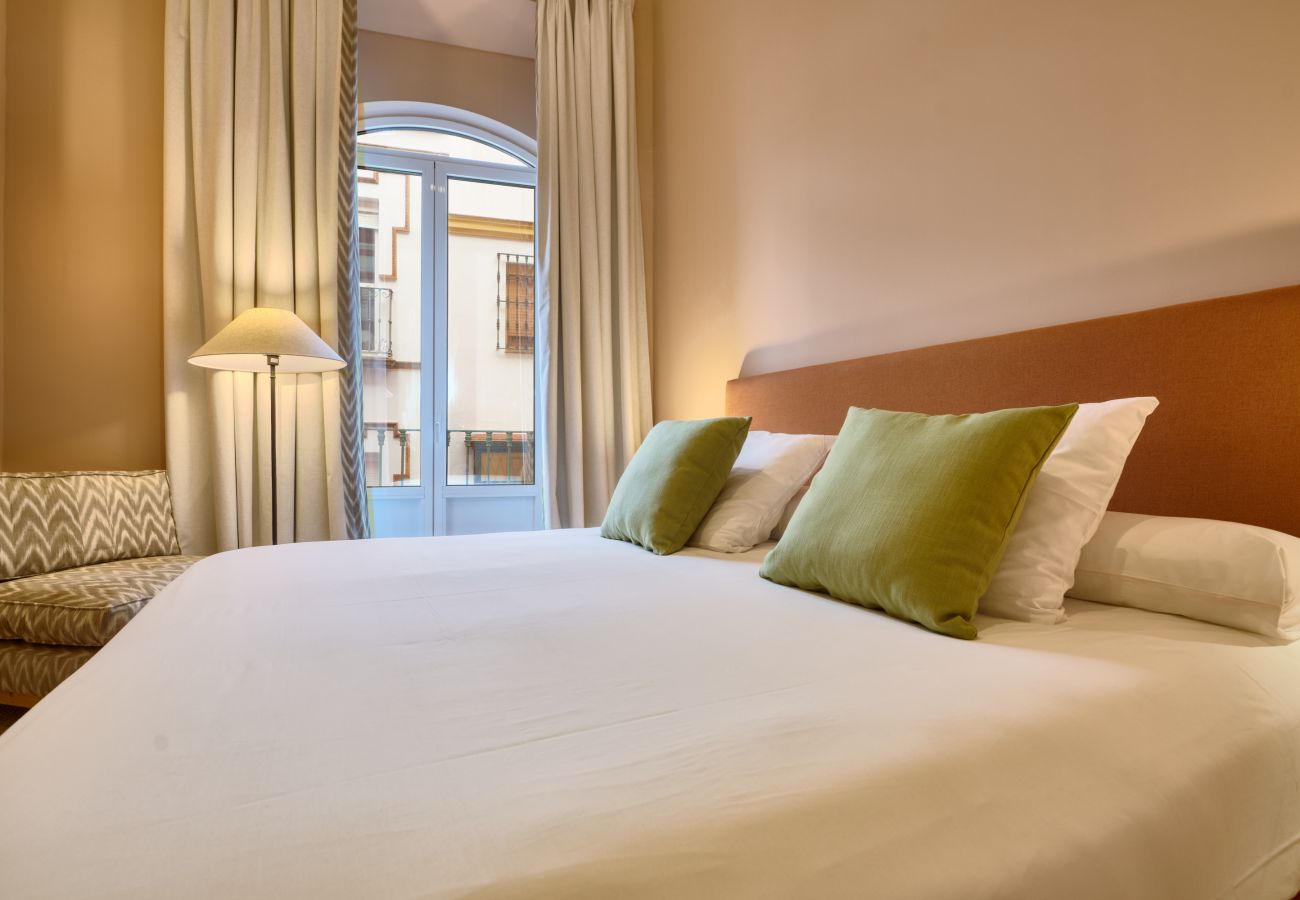 Apartamento en Sevilla - Adriano 1.1