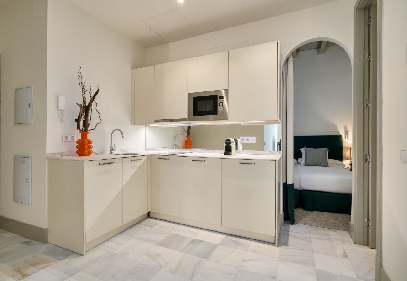 Apartamento en Sevilla - Luis de Vargas 1B