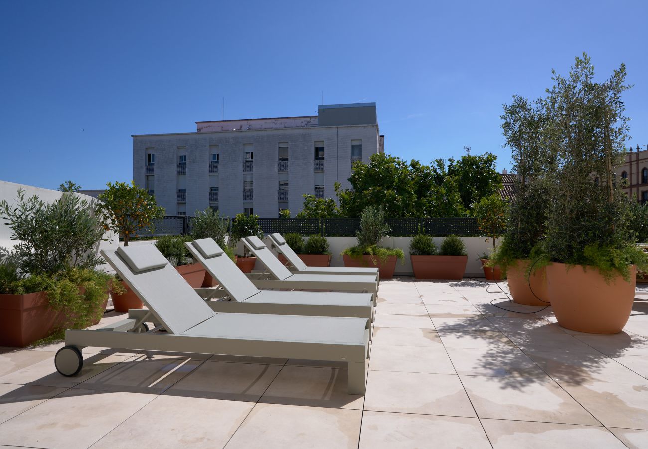 Apartamento en Sevilla - Luis de Vargas 1B
