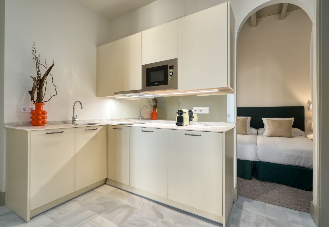 Apartamento en Sevilla - Luis de Vargas 2B