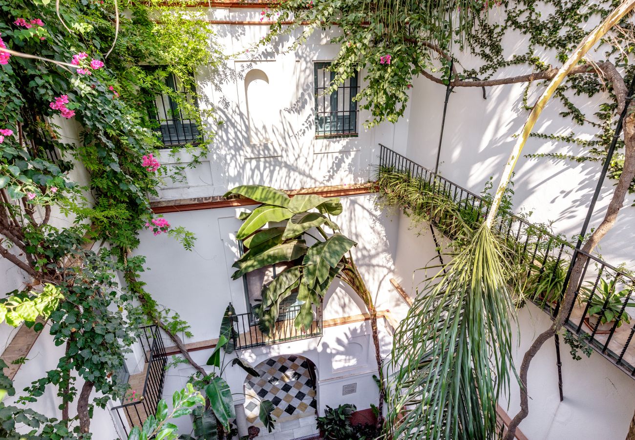 Apartment in Seville - San Jose 1