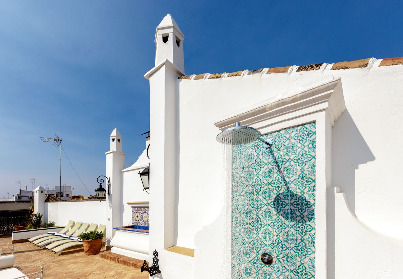 Apartment in Seville - San José 2