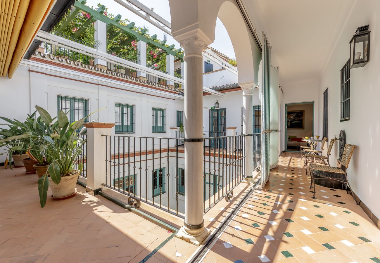 Apartment in Seville - San José 2