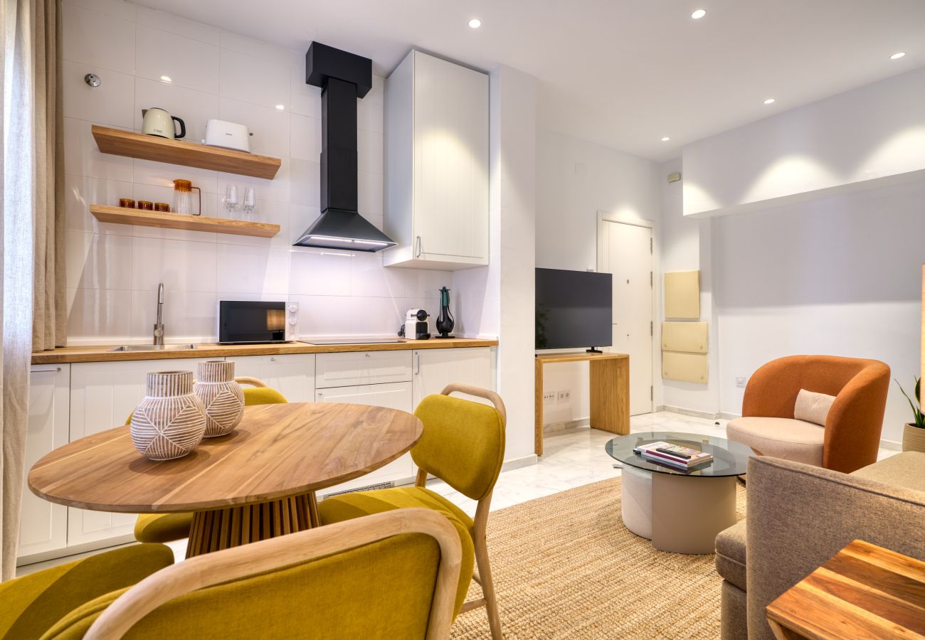Apartment in Seville - Betis 1.A