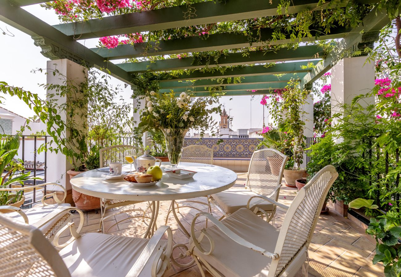 Apartment in Seville - San Jose 4
