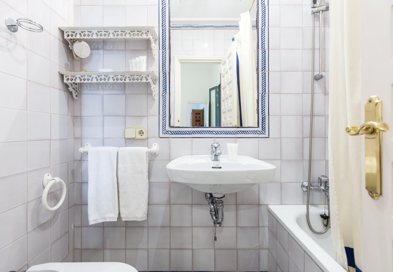 Apartment in Seville - San Jose 4