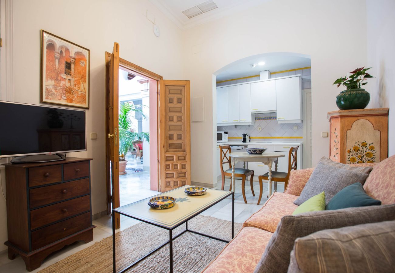 Apartment in Seville - San Jose 4