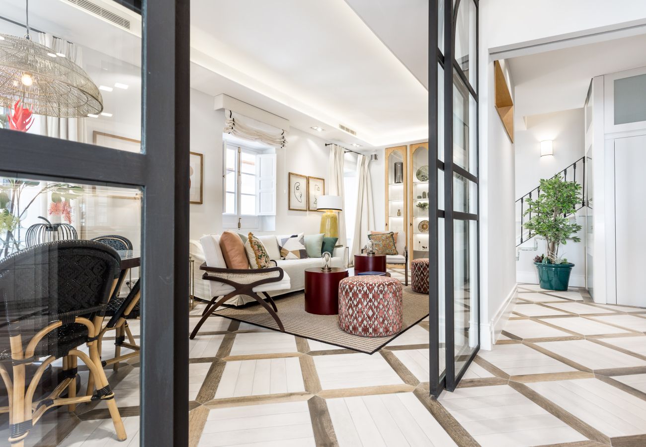 House in Seville - Puerta del Arenal IV