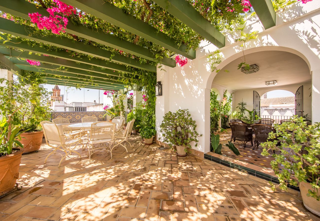 Apartment in Seville - San José 3