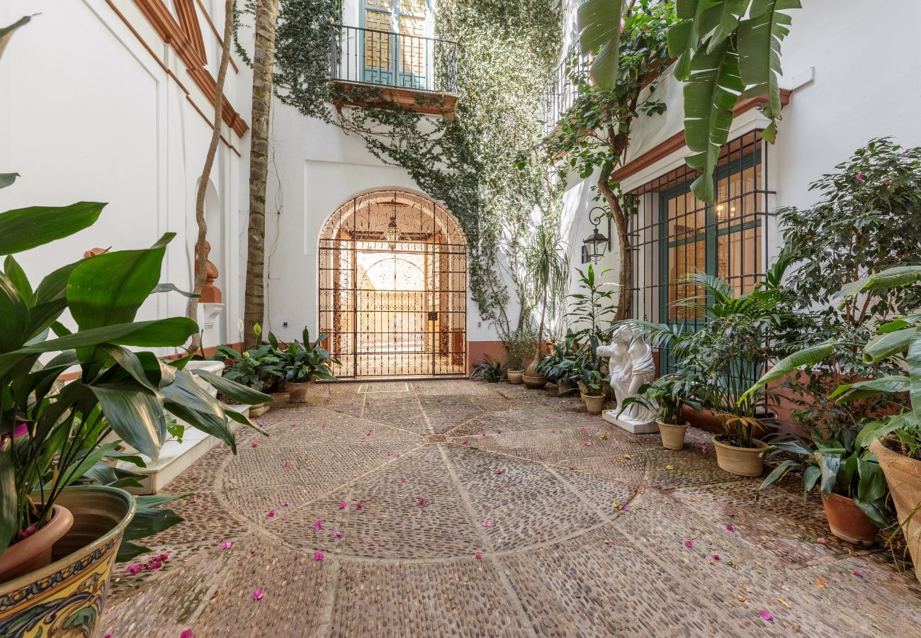 Apartment in Seville - San José 3