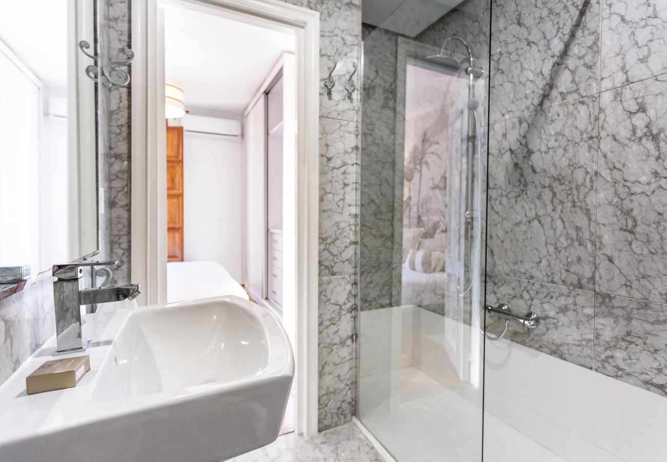 Apartment in Seville - Avenida de la Constitución