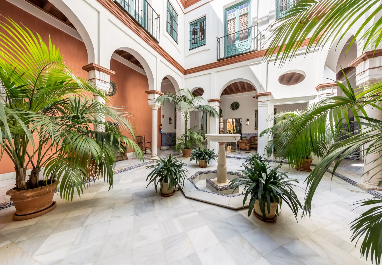 Apartment in Seville - San Jose 5