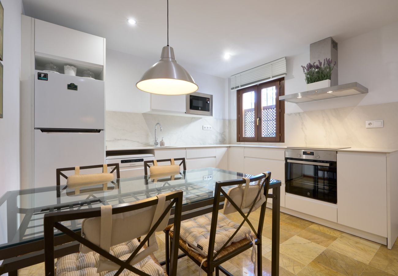 House in Seville - San Bernardo