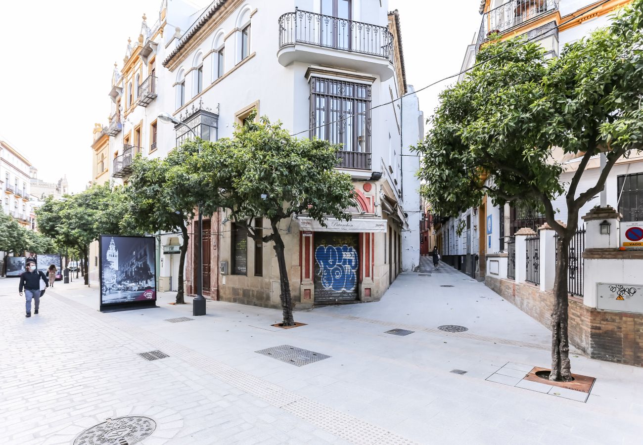 Apartment in Seville - Mateos Gago I