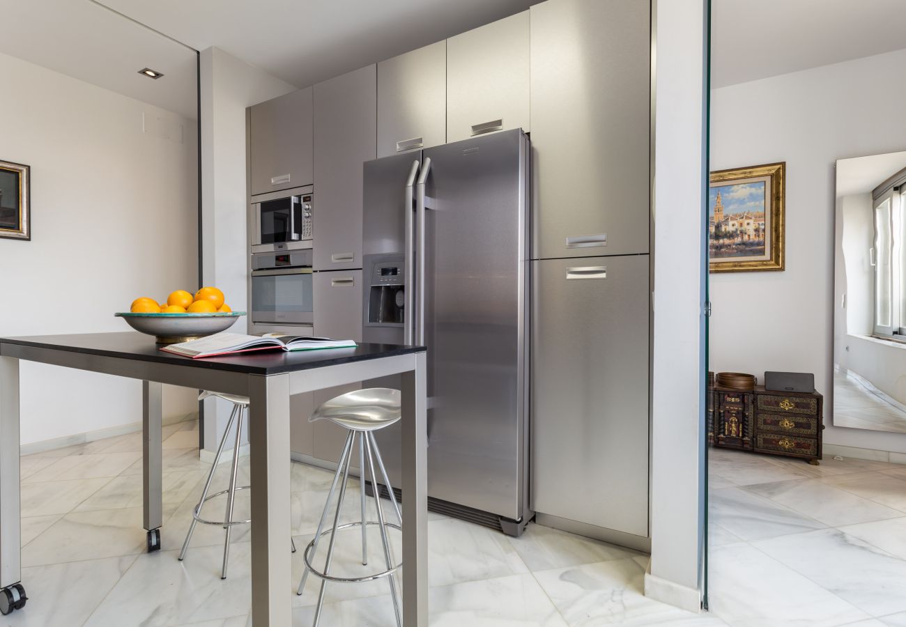 Apartment in Seville - Puerta del León