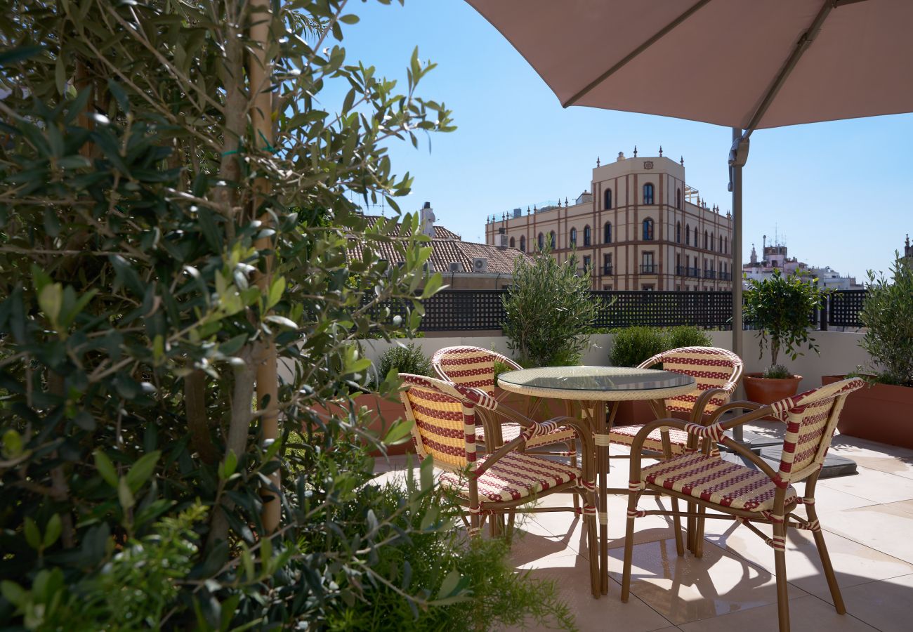 Aparthotel in Seville - Luis de Vargas 1A