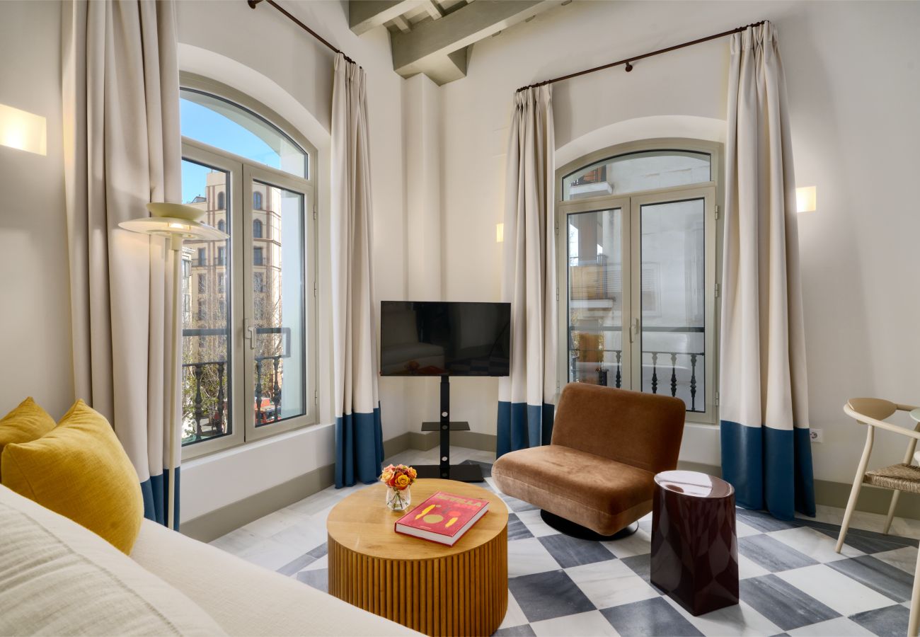 Apartment in Seville - Luis de Vargas 2A