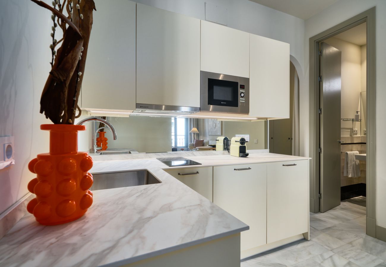 Apartment in Seville - Luis de Vargas 2B