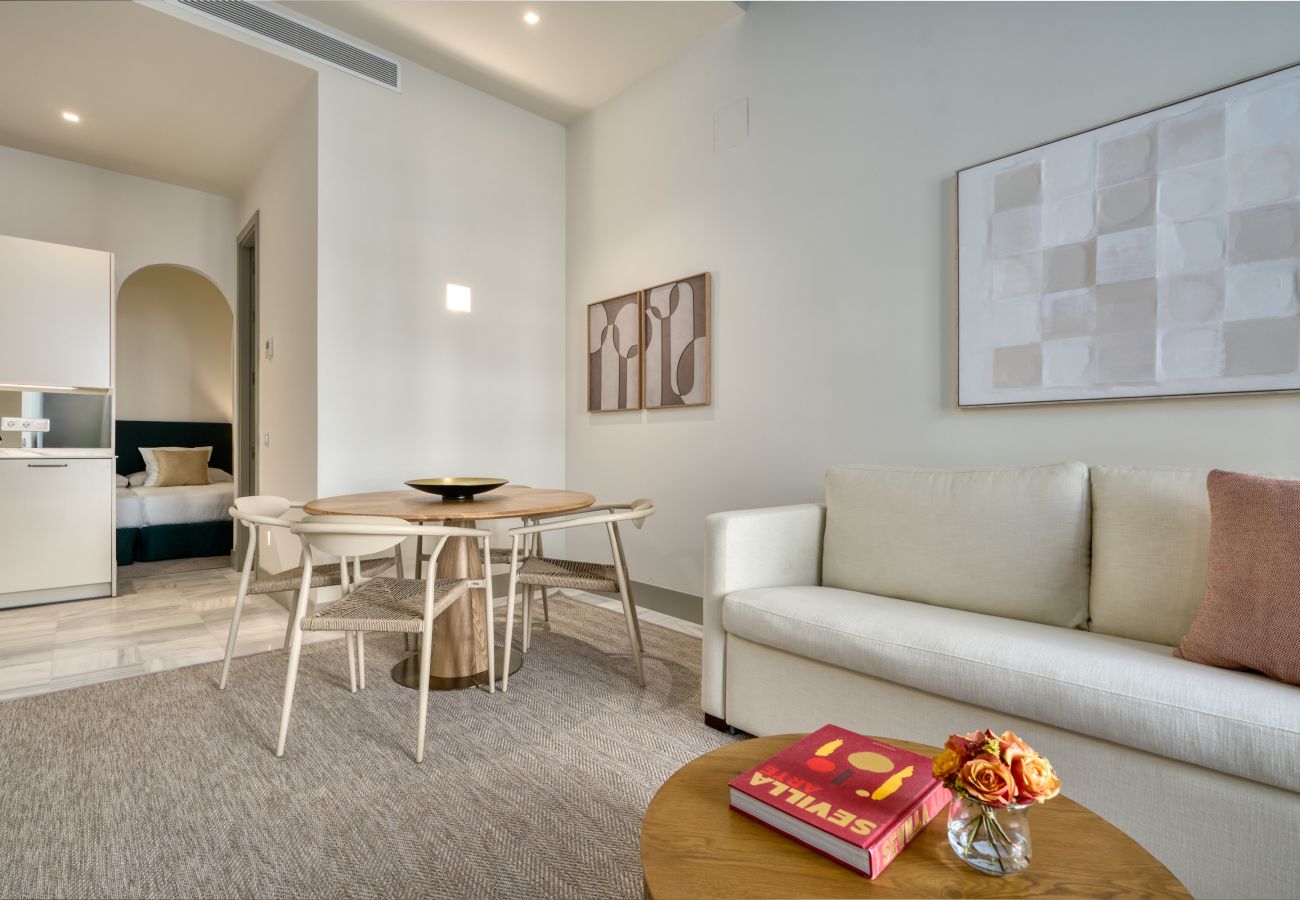 Apartment in Seville - Luis de Vargas 2B
