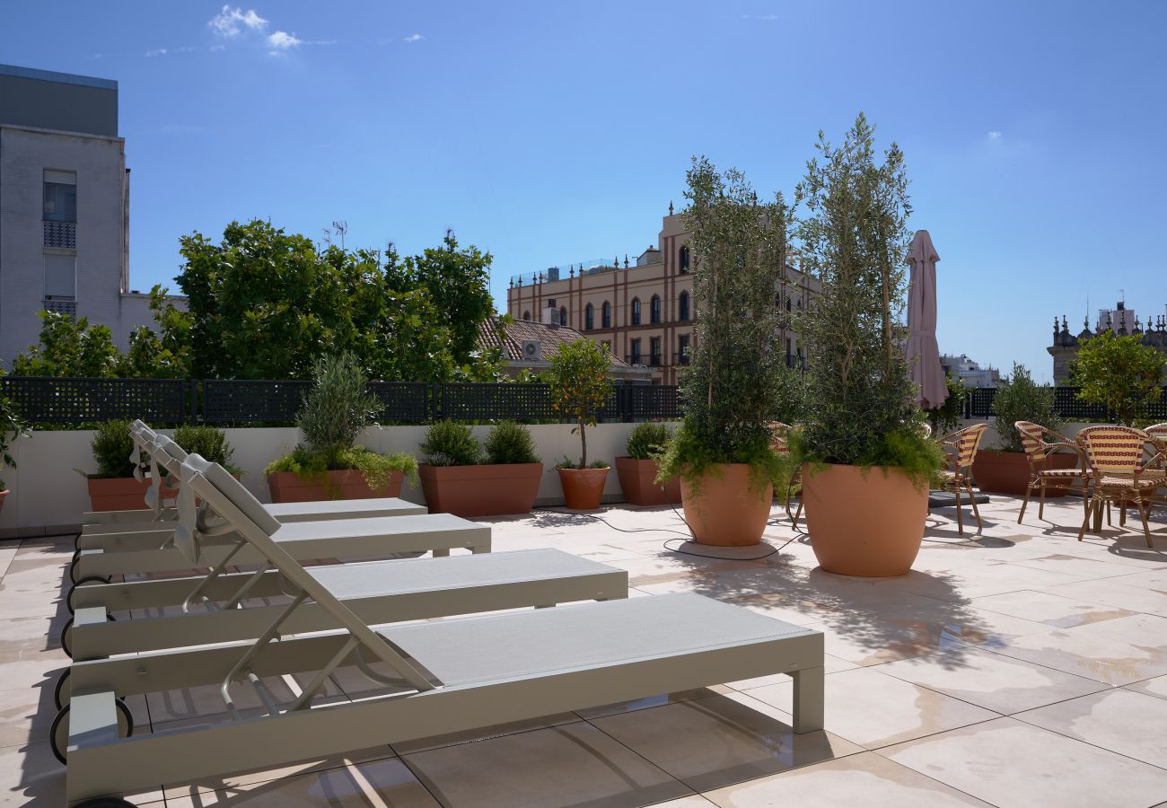 Apartment in Seville - Luis de Vargas 2B